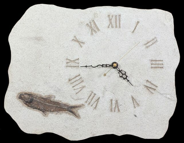 Wide Clock With Natural Fossil Fish - Wyoming #64195